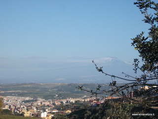 tapiccola-13-01-2013 09-27-30